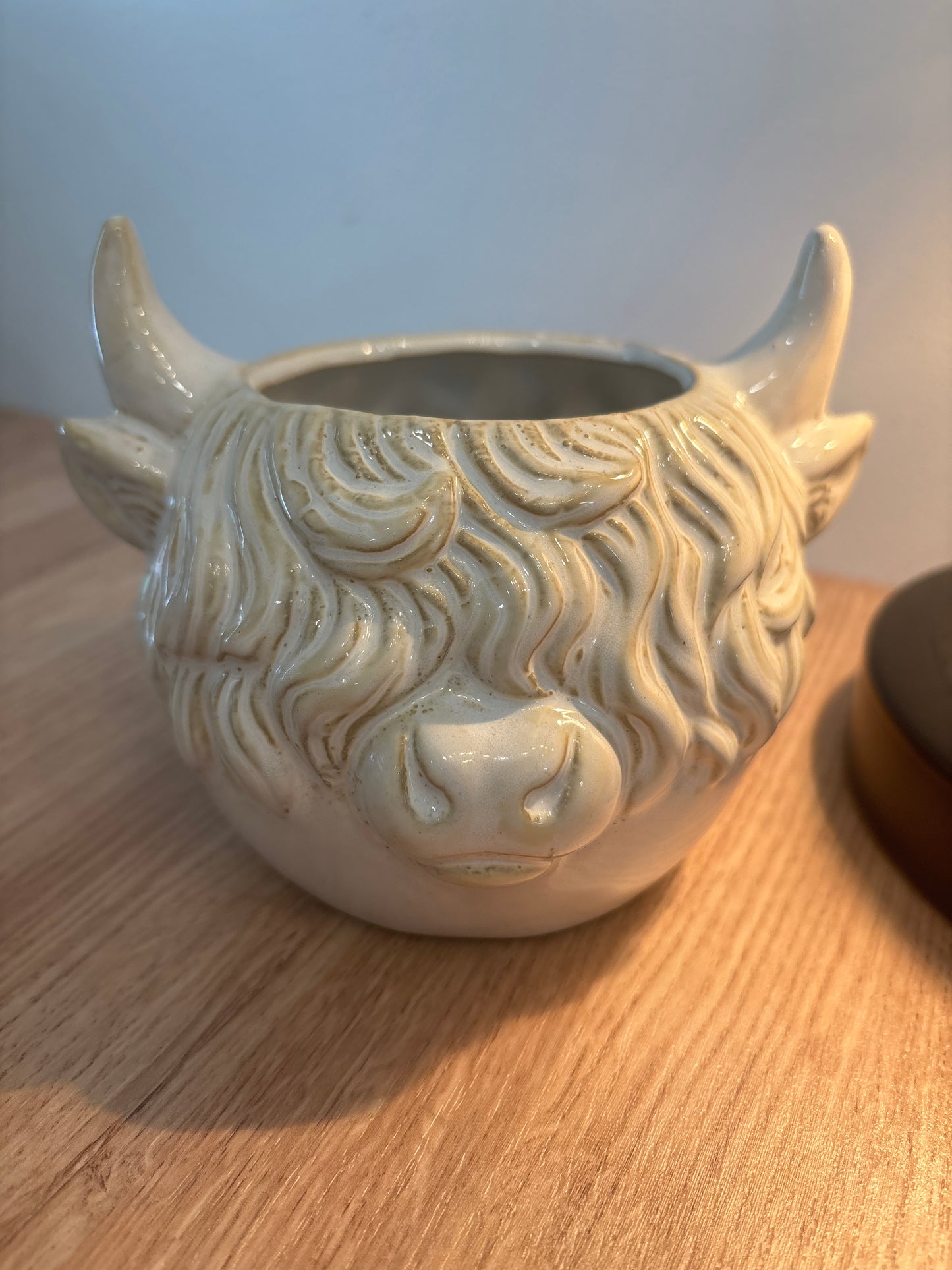 HIGHLAND COW PLANTER