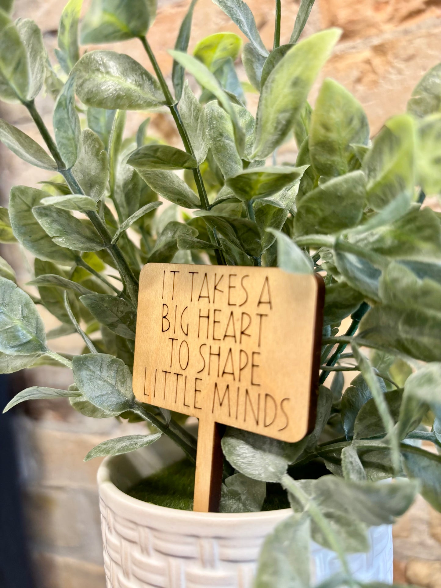 TEACHER PLANT TAGS