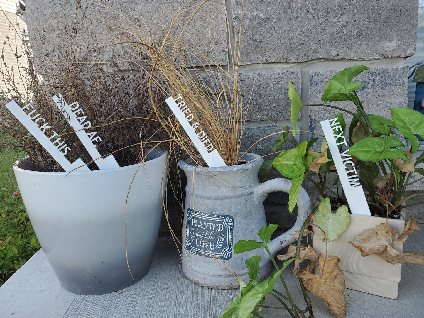 FUNNY GARDEN PICKS