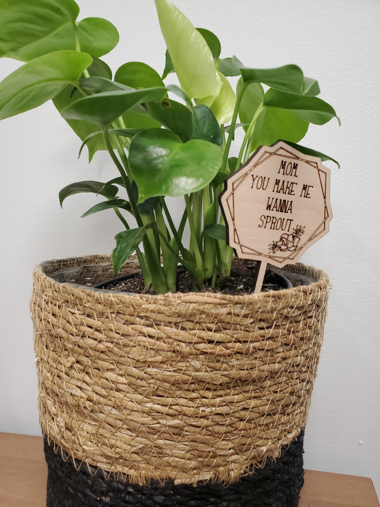 PLANT TAGS - MOM