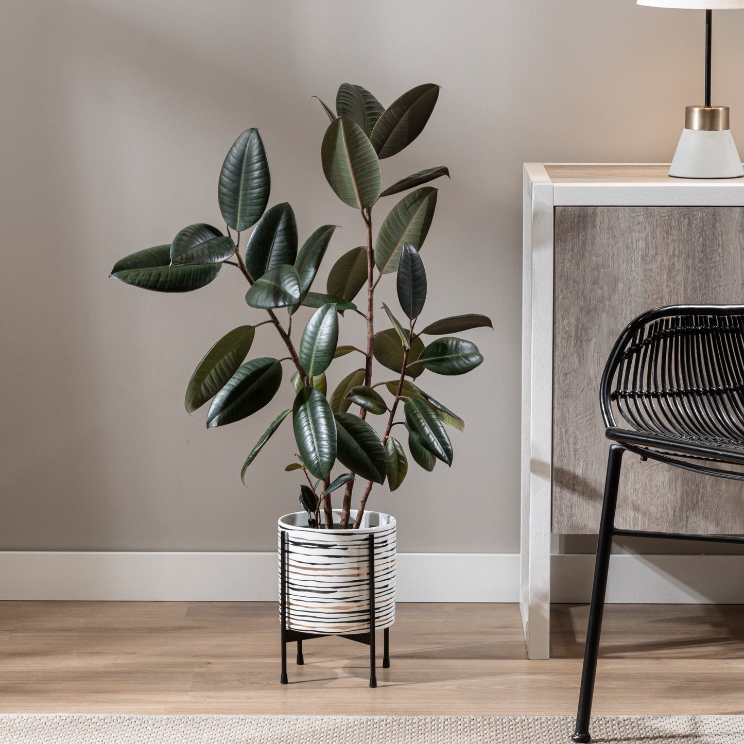 AKINA LINE PLANTER / TT903201