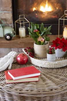 SMALL SILVER METALLIC POT / B3760