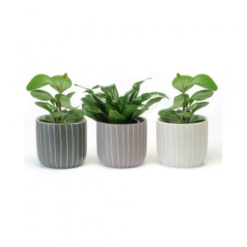 SMALL VERTICAL LINE POT/ B3780