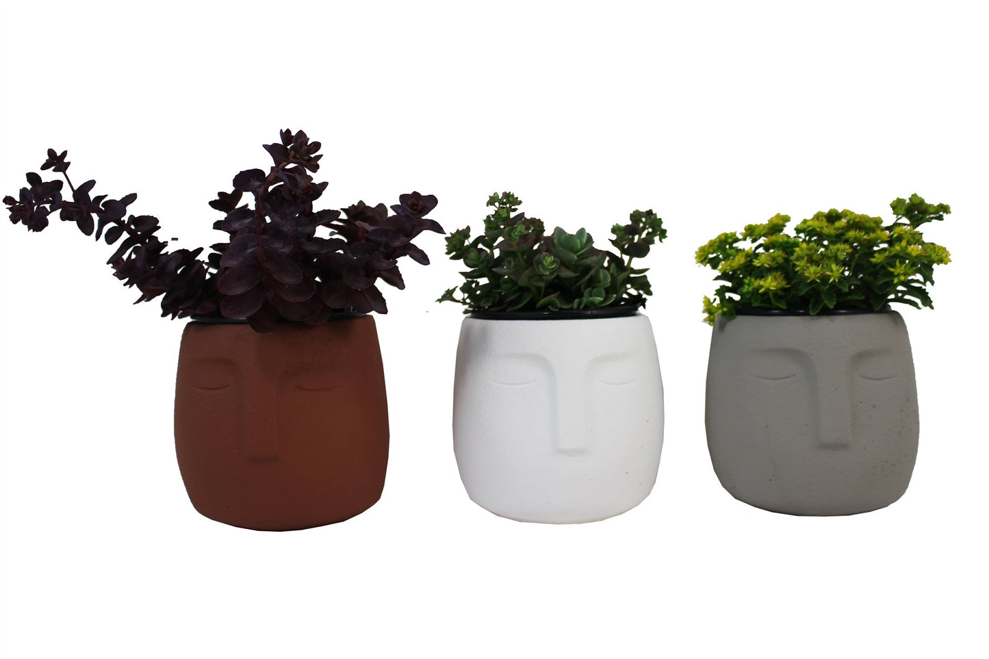 LARGE FACE PLANTER / S312