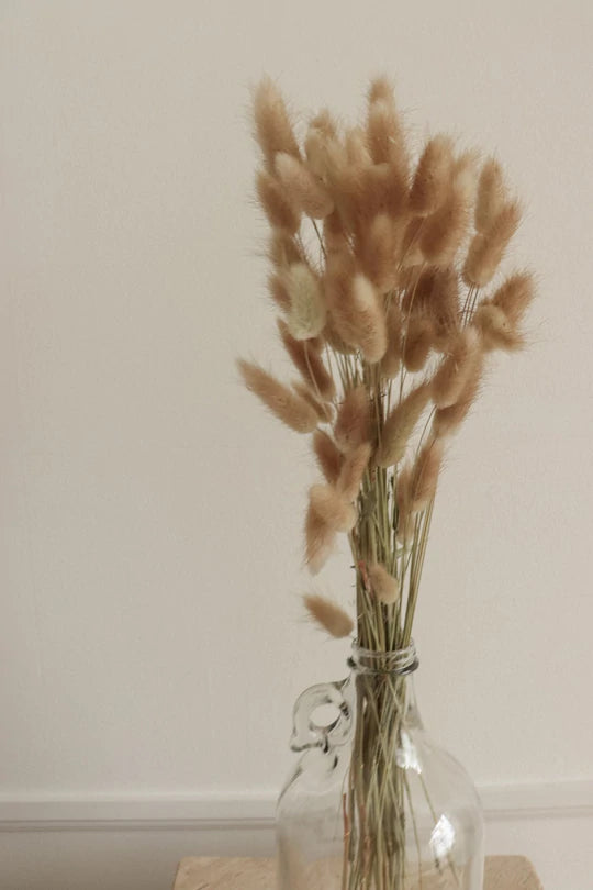 BUNNY TAILS