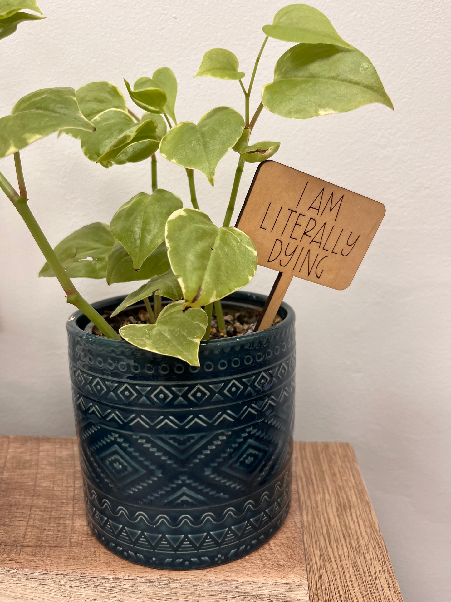 PLANT TAG