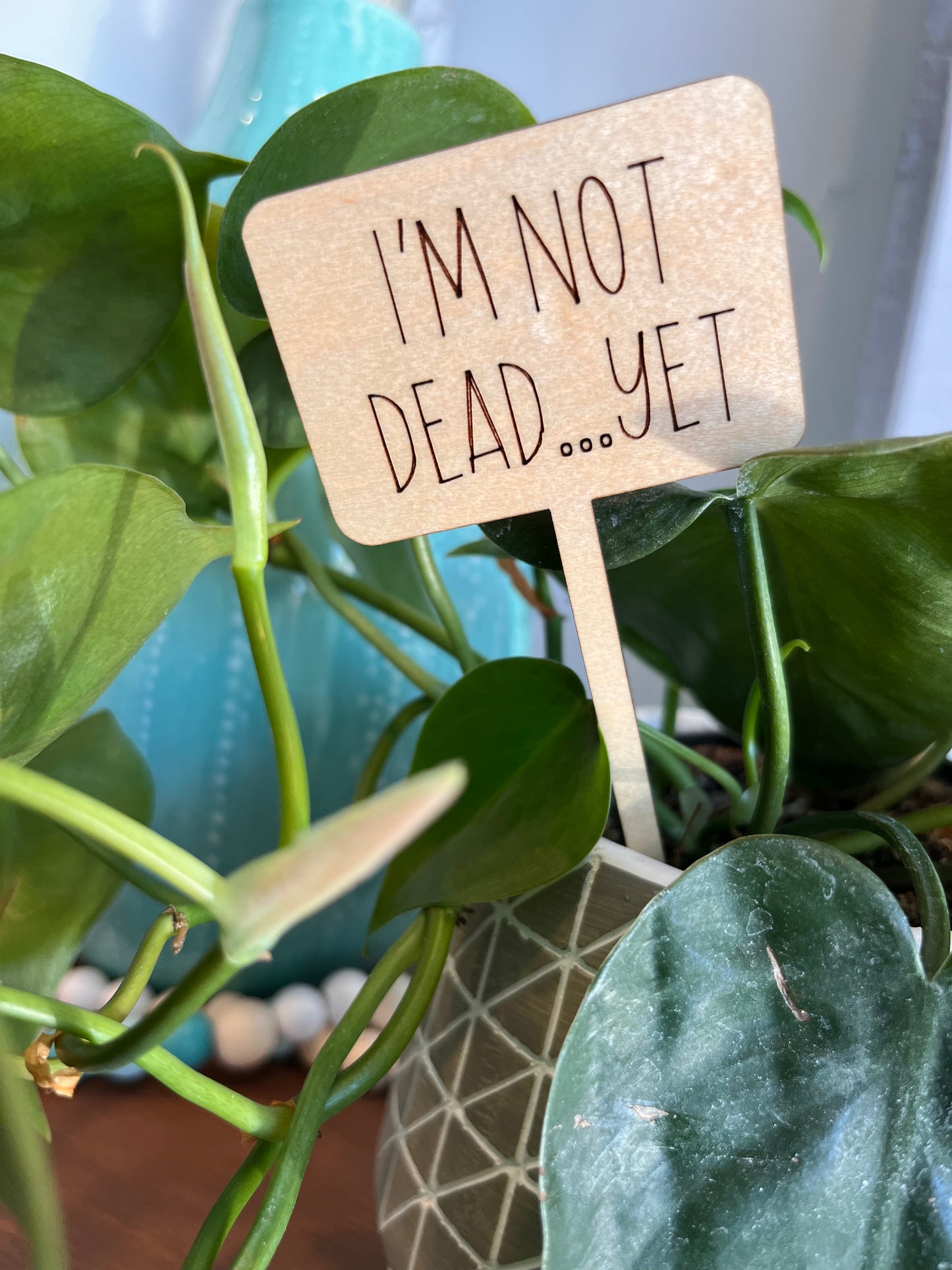PLANT TAG