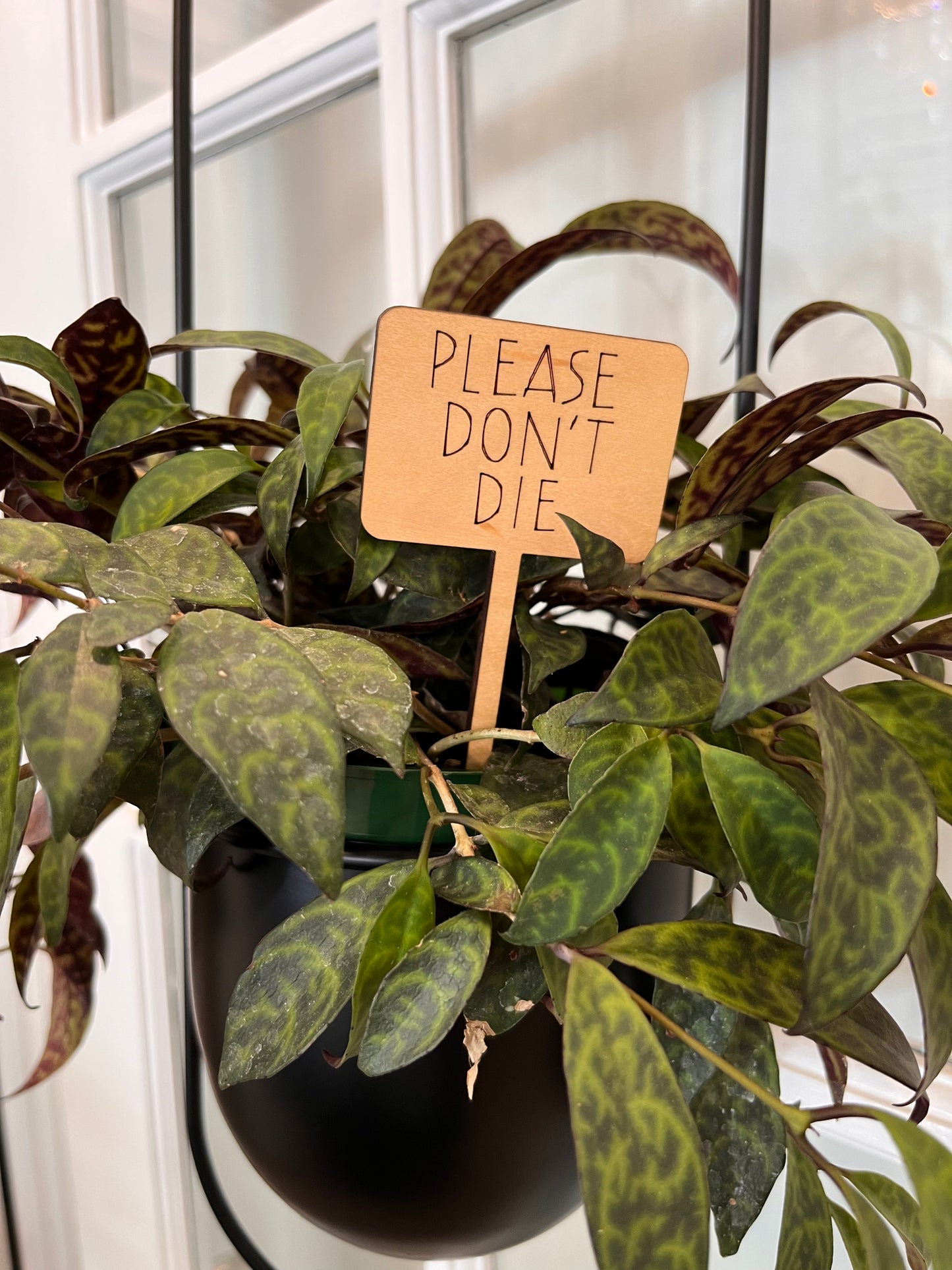 PLANT TAG
