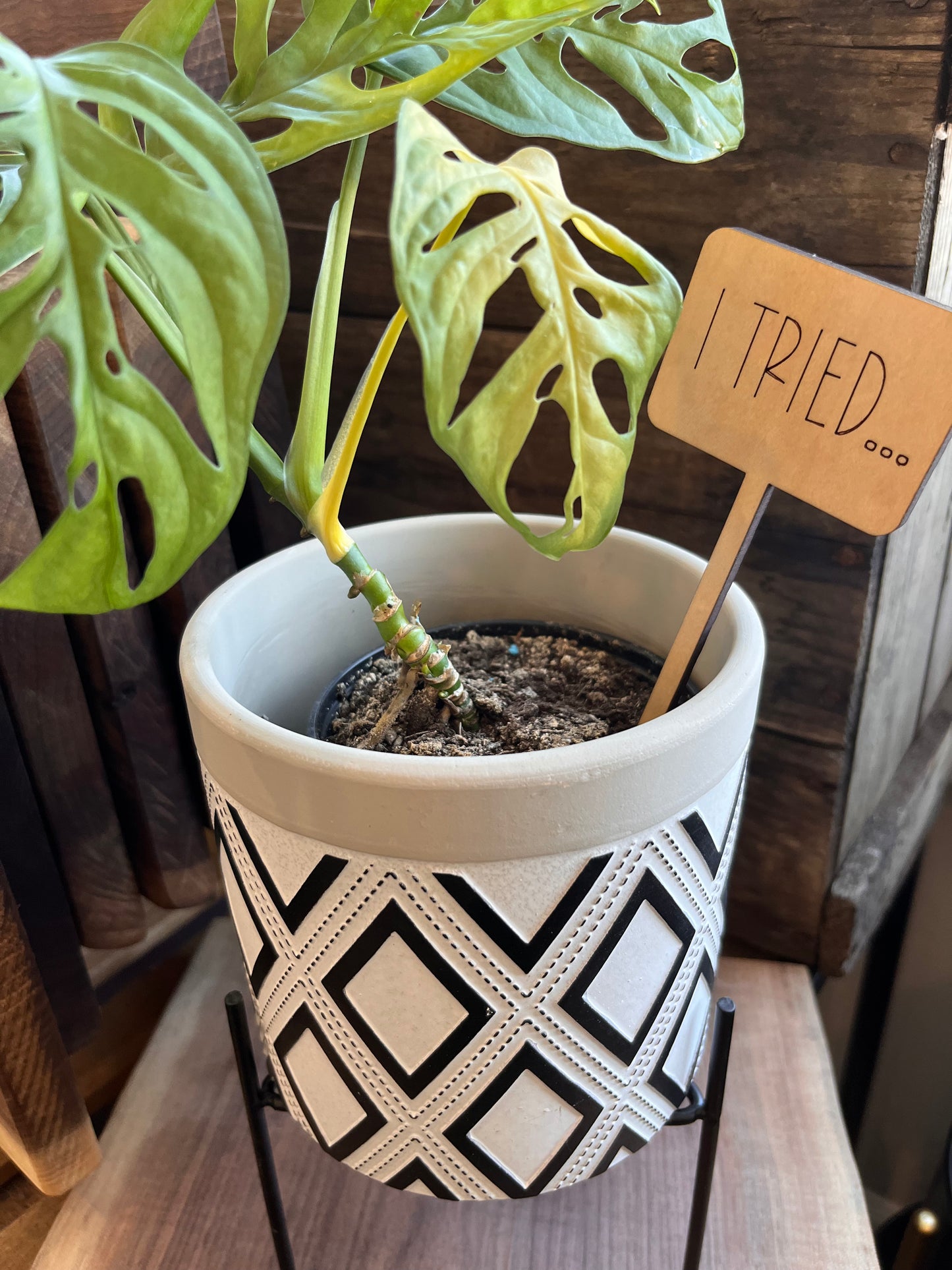 PLANT TAG