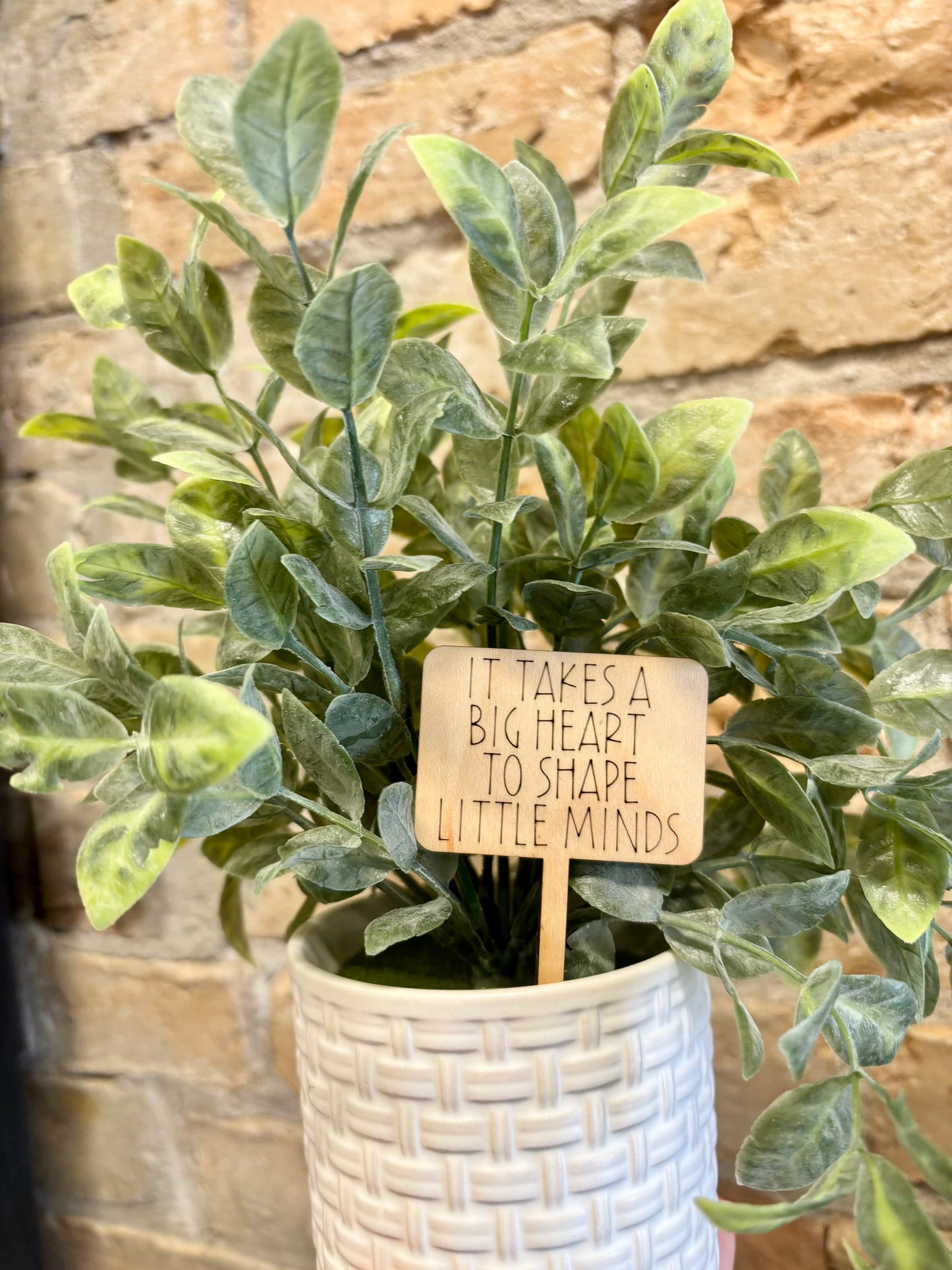 TEACHER PLANT TAGS