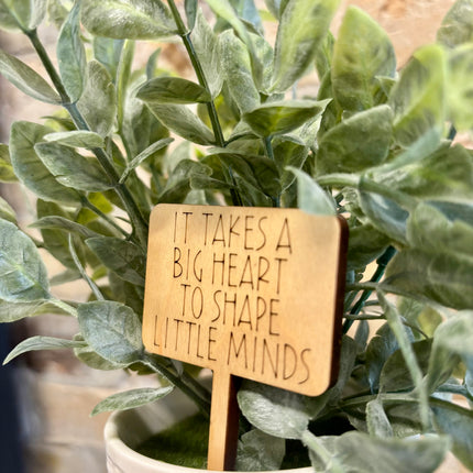 TEACHER PLANT TAGS