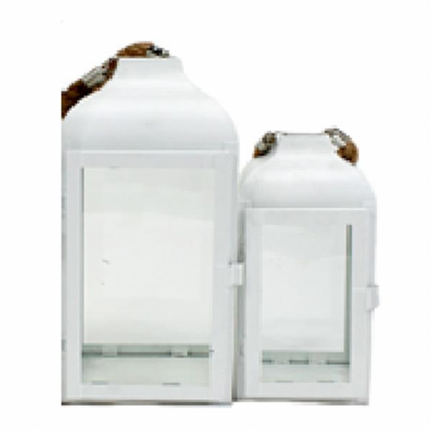 WHITE LANTERNS / K13696 *