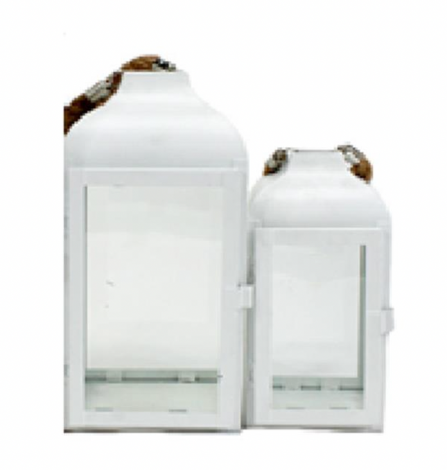 WHITE LANTERNS / K13696 *