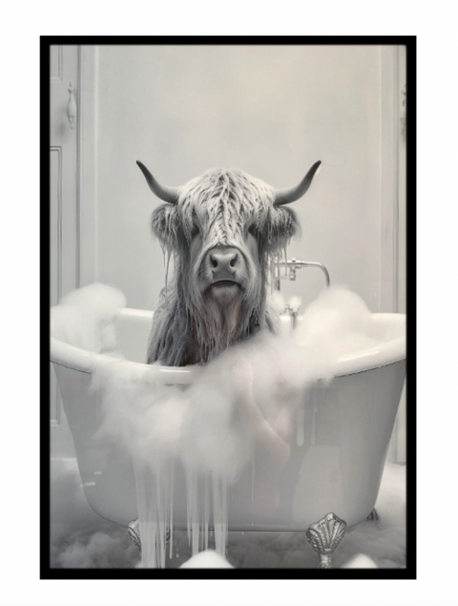HIGHLAND COW IN TUB / K54826