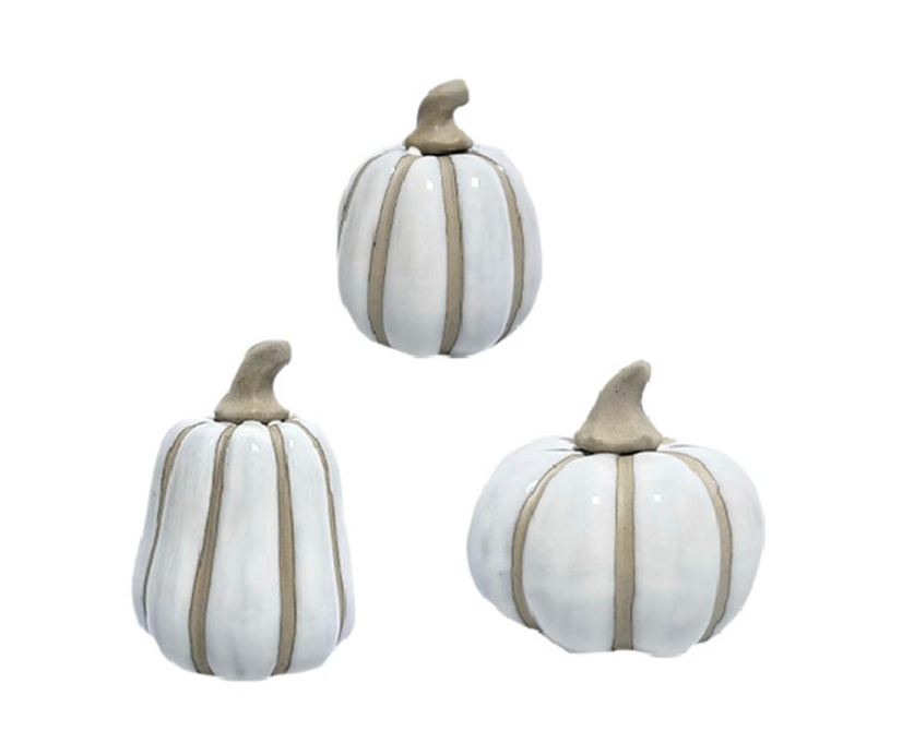 WHITE PUMPKINS / K80709