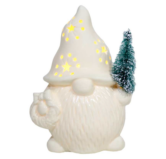 LED GNOME / S131