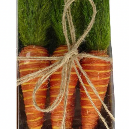 CARROT BOX / K16384