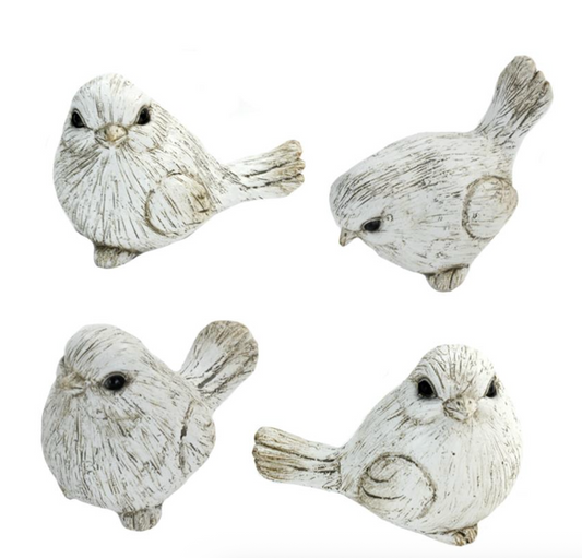 DISTRESSED BIRD / K12230*