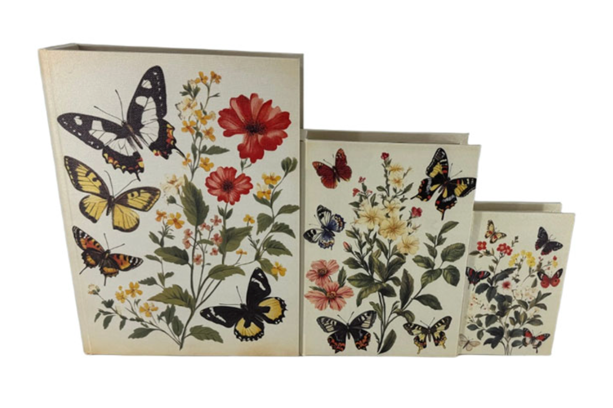 BUTTERFLY BOX BOOKS / K59223 *