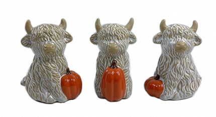 HIGHLAND COWS WITH PUMPKINS / K85907
