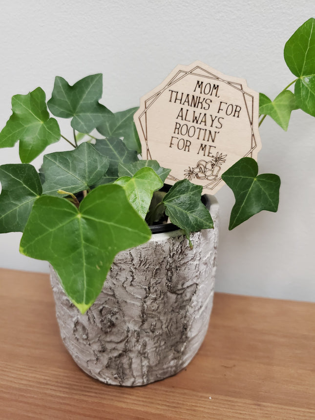 PLANT TAGS - MOM