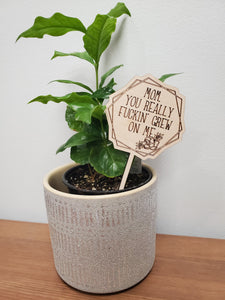 PLANT TAGS - MOM