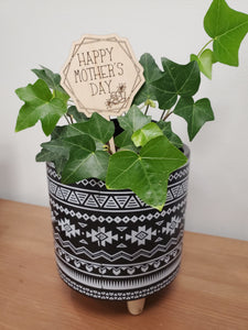 PLANT TAGS - MOM