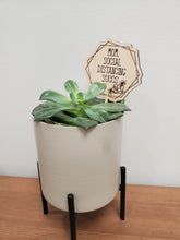 Load image into Gallery viewer, PLANT TAGS - MOM
