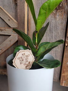 PLANT TAGS - MOM