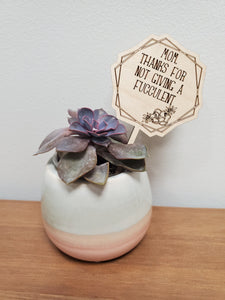 PLANT TAGS - MOM