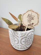 Load image into Gallery viewer, PLANT TAGS - MOM
