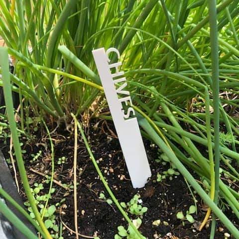GARDEN PICKS - SET OF 5