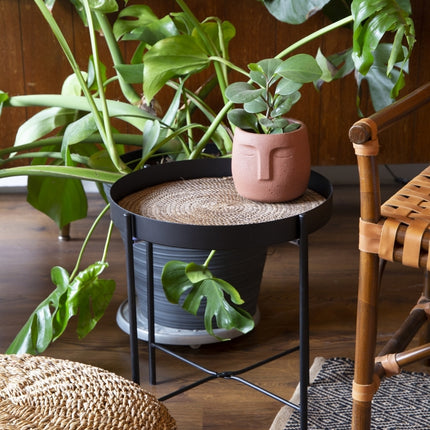 BANANA LEAF TABLE / B179 *