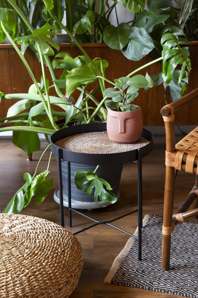 BANANA LEAF TABLE / B179 *