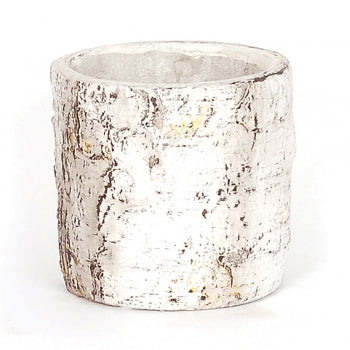 CONCRETE BIRCH POT / B3803