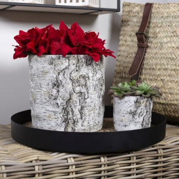 CONCRETE BIRCH POT / B3803