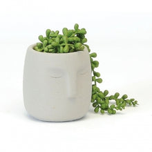 Load image into Gallery viewer, SMALL FACE PLANTER / B3810
