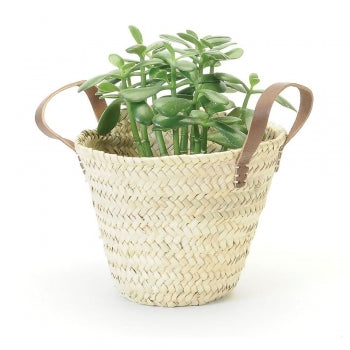 STRAW PLANTER WITH LEATHER HANDLES / B409