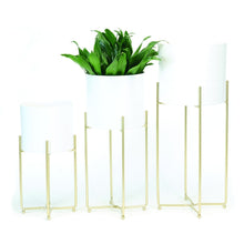 Load image into Gallery viewer, WHITE &amp; GOLD PLANTERS / B535
