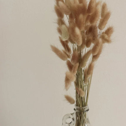 BUNNY TAILS