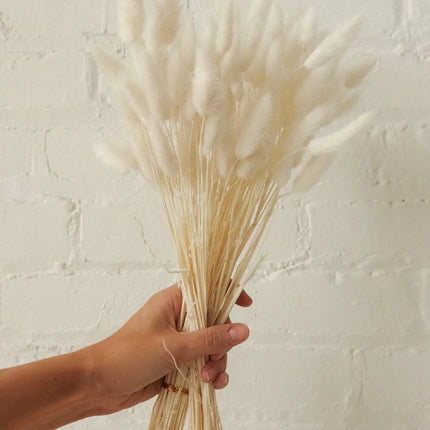 BUNNY TAILS