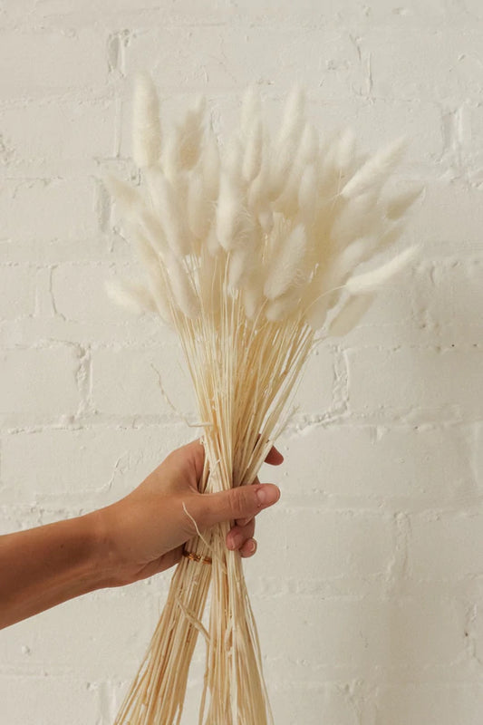 BUNNY TAILS