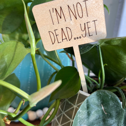 PLANT TAG