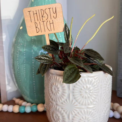 PLANT TAG