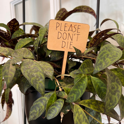 PLANT TAG