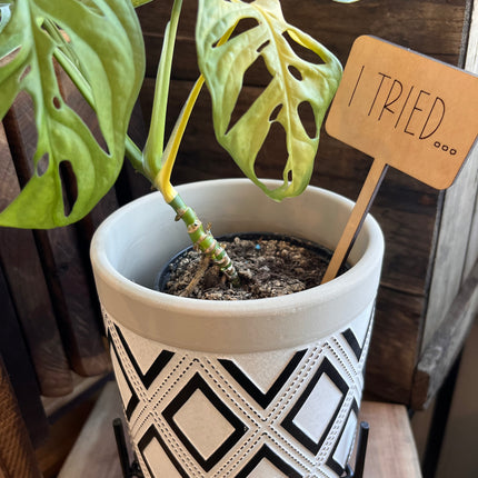 PLANT TAG