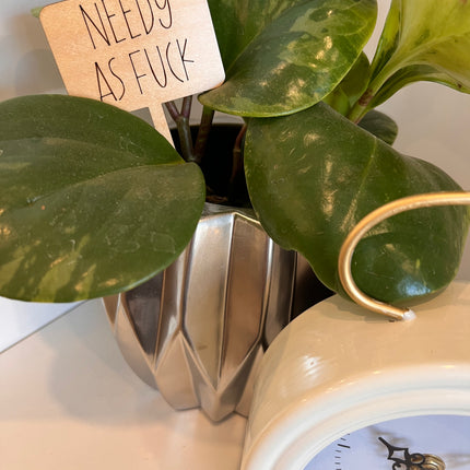 PLANT TAG