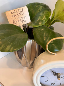 PLANT TAG
