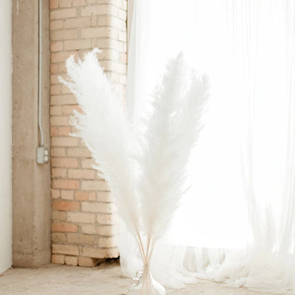 LARGE PAMPAS