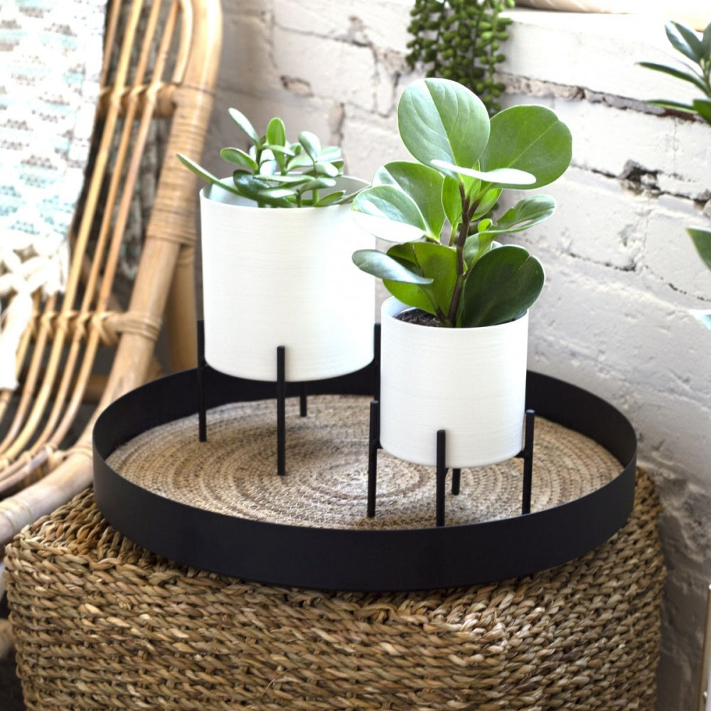 BLACK & CREAM PLANTER STANDS / B534